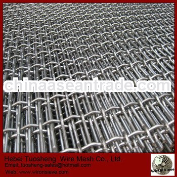 Professional Metal Sieve Mesh (manufacture in Anping)