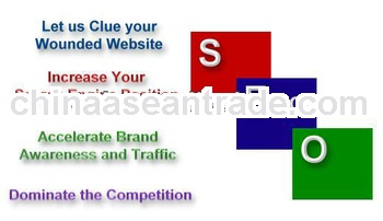 Professional SEO service,website SEO