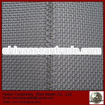 Professional SS Crimped Wire Mesh (manufacture hot sale)