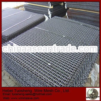 Professional Steel Wire Mesh/Crimped Wire Mesh (manufacture in Anping)