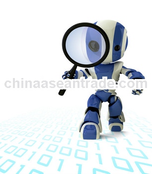 Professional Web SEO Search Engine Optimization