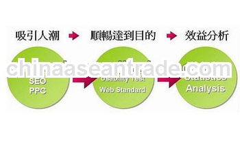 Professional search engine optimization,seo service