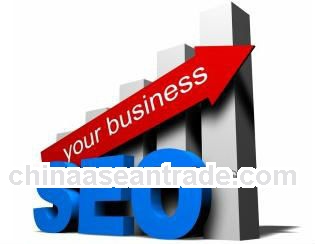 Professional seo promotion servcie friendly for search engines