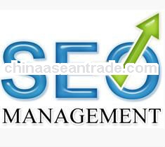 Professional seo webdesign