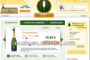 Professional website and software programs, online selling web design