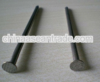 Q195 Common polished nails seller