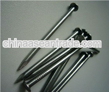 Q195 wood nails(producer)