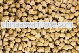 Raw Chickpeas 9mm For Gulf
