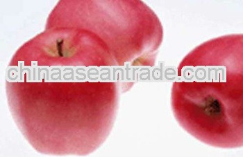 Red delicious apple/ Fresh apple