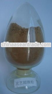 Reishi Mushroom Powder (Ganoderma lucidum/Lingzhi powder)