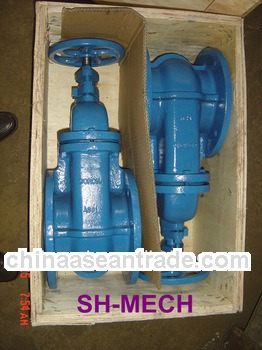 Rising stem DIN 3352 Gate Valve
