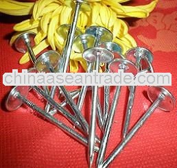 Roofing Nail With Umbrella Head