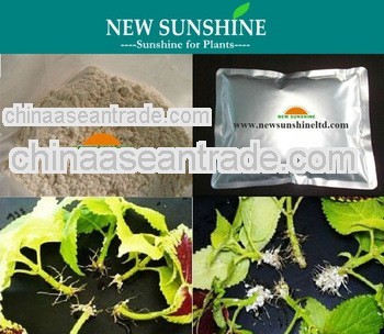 Root growth promoter 3-Indolebutyric Acid IBA 98%