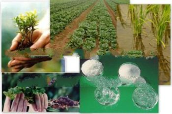 SAP super absorbent polymer for agriculture