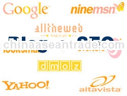 SEO Company &Search engine submission