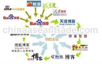 SEO for ecommerce website,Best Seo Service