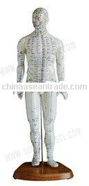 SF-505 Acupuncture Model 46CM Male