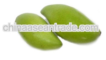 SOUR MANGO/GREEN MANGO