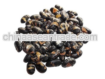 Salted and roasted black beans