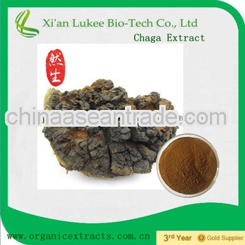 Siberian Chaga Mushroom Extract