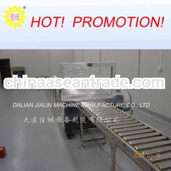 Single Chain Roller Conveyor
