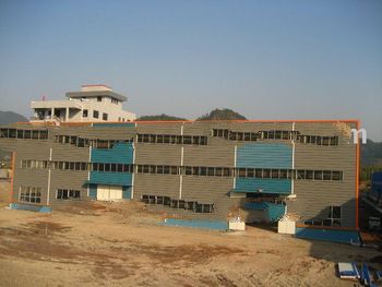 Steel structural plants