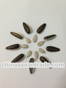 Sunflower seeds 318 baked snacks