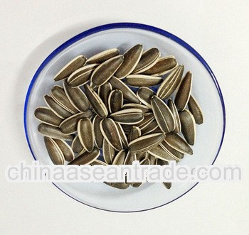 Sunflower seeds 318 dried nuts