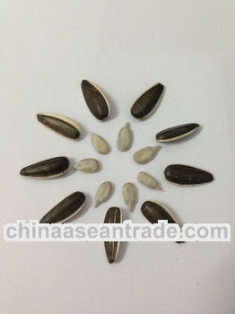 Sunflower seeds 318 healthy food