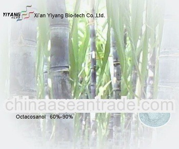 Supply Natural Octacosanol Policosanol