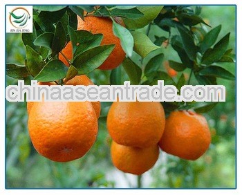 Sweet Orange Mandarin Orange