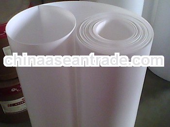 THK:25mm Provide Pure Teflon Skived Sheet/Molded Sheet of High Quality/Directly factory