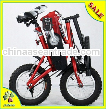 Telescoping Mini Folding Cycles for Leisure