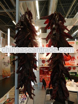 The Newest Crop Chaotian Dried Chilli