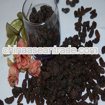 Thompson raisin seedless brown raisin aa grade raisin