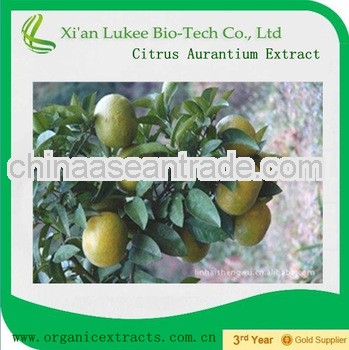 Top Quality 10% - 95% Synephrine Citrus Aurantium Extract