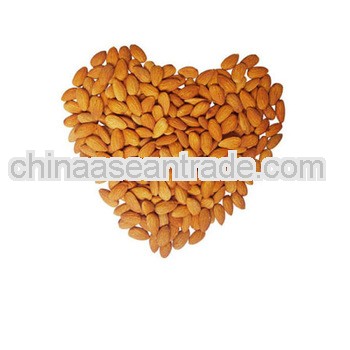 Top Quality Bitter Apricot Extract