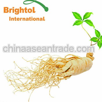 Top Quality Ginseng Extract Powder
