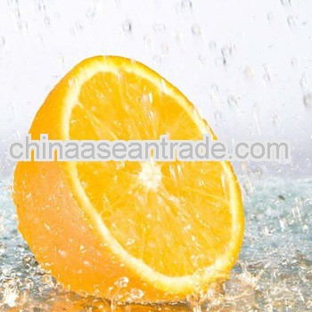 Top Quality Hesperitin with Best Price