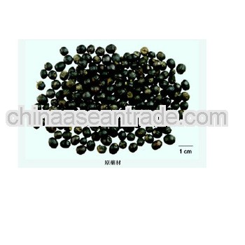 Top Quality Vitex Agnus-Castus Extract