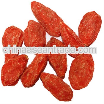 Top quanlity of goji berry manufacturer