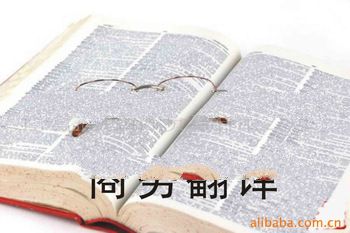 Translation service and purchasing agent in Yiwu market