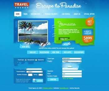 Travel agency website design, professional web design