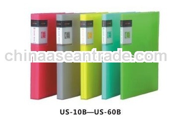 US-20B PP transparent Straight Line Grain file Book