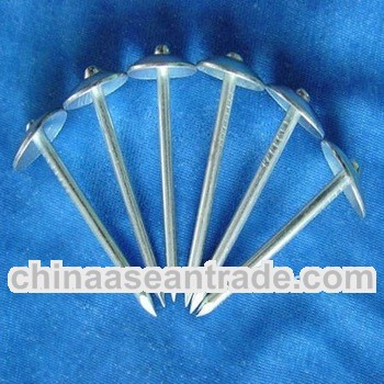 Umbrella head smooth shank roofing galvanized nails