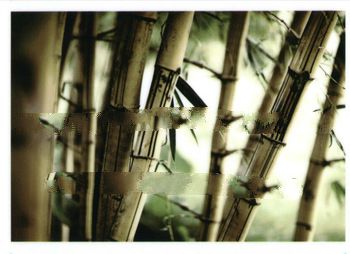 VEIDA PVC FLOORING PICTURES/Sponge PVC Flooring/printed vinyl flooring