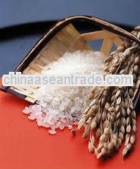 VIETNAM LONG GRAIN 50% BROKEN JASMINE RICE