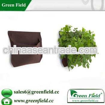 Vertical garden mini plant ,green mini plant