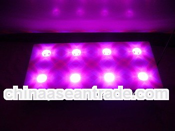 Wholesale shenzhen led grow light 2013 newest design for plant grow systems from china