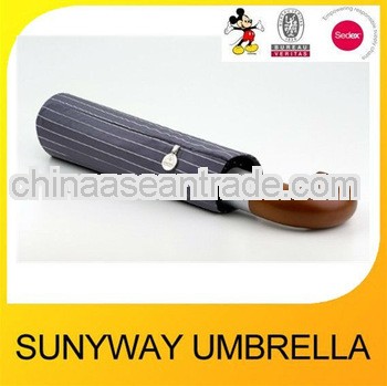 Windproof Auto Open Close Umbrella Rain